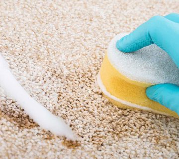 قالیشویی سردارجنگل