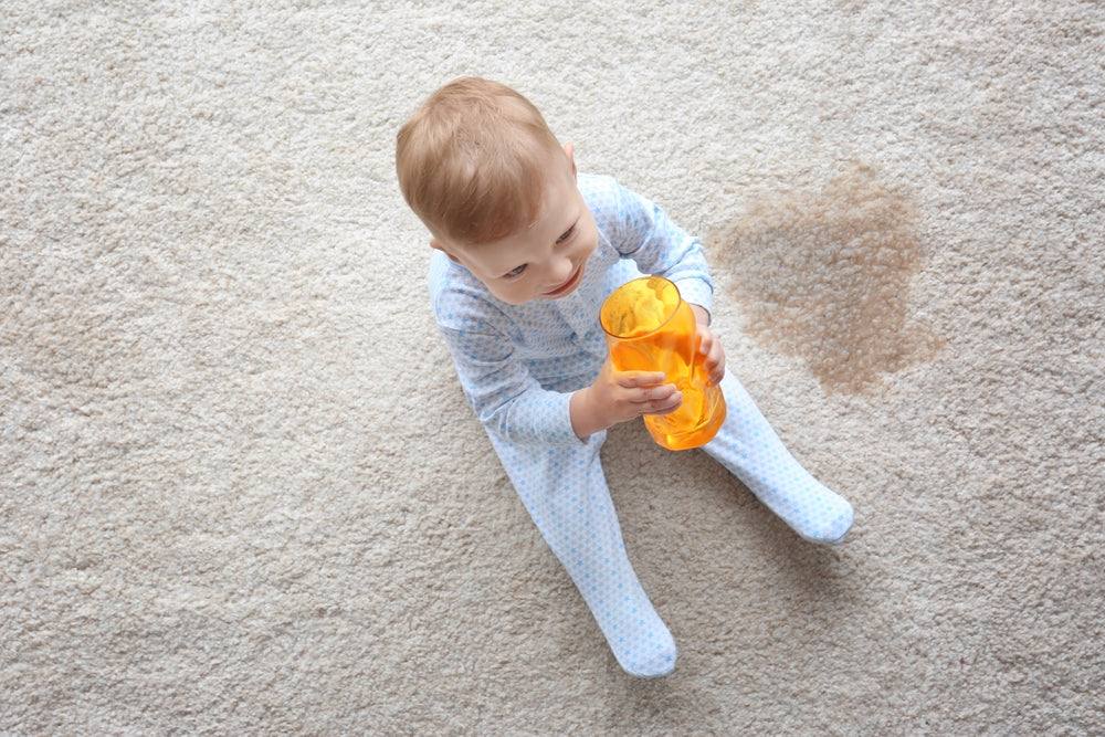 پاک کردن لکه ادرار از روی فرش